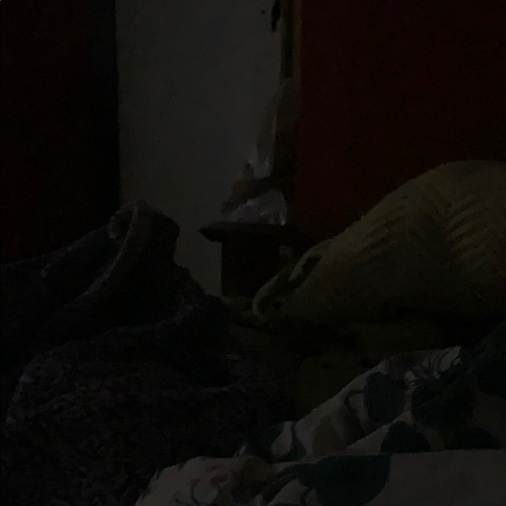 Meet your Posher, Lilly